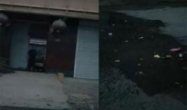 霸州四中爆料事件视频,校园事件真相揭秘