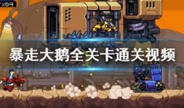 爆料大鹅解说视频,爆料视频背后的精彩瞬间